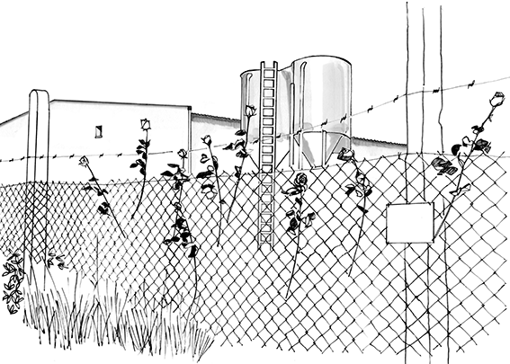 Organisation of the landscape and architectural competition for The Lety Memorial
